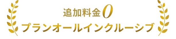 オールインクルーシブヘッド