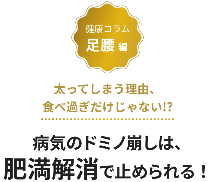病気のドミノ崩しは、肥満解消で止められる！