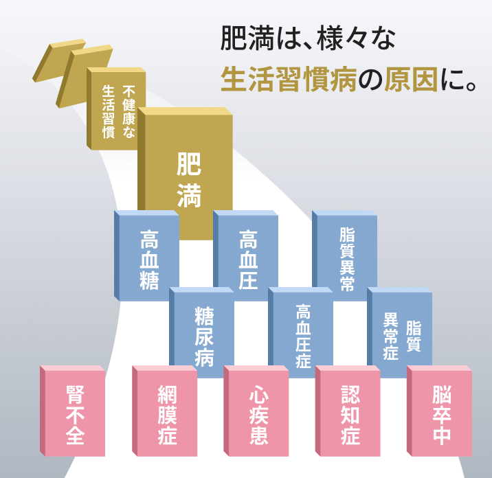 様々な生活習慣病の原因